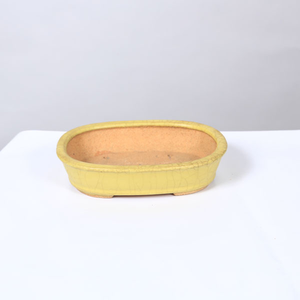 Rakuten - 鉢：服部　縁付楕円鉢　15.7cm【現品】*　資材