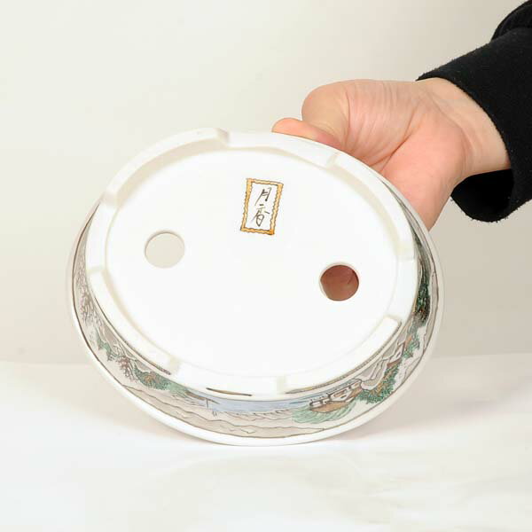 ���微ȭ����ᡡ�����ʱ�ȭ��15.9cm�ڸ��ʡ�(��Ȣ�����ۡ�ͭ)