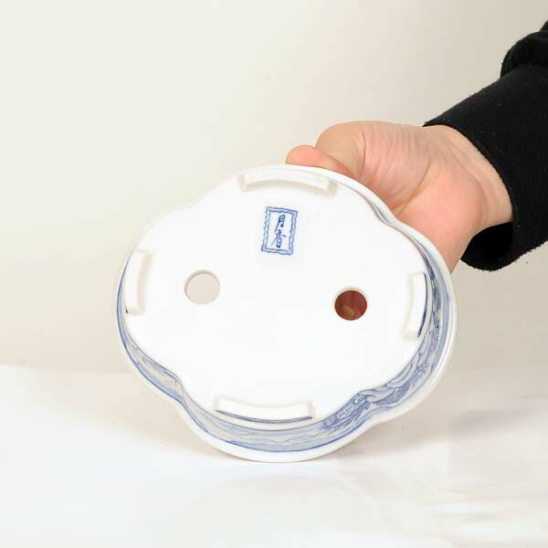 ���微ȭ����ᡡ��å�ȭ��14.0cm�ڸ��ʡ�(��Ȣ�����ۡ�ͭ)