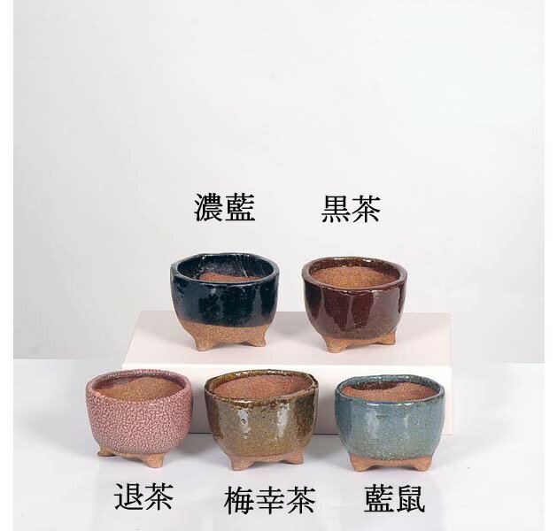 楽天市場】盆栽鉢 2号の通販 楽天市場】盆栽鉢 2号の通販
