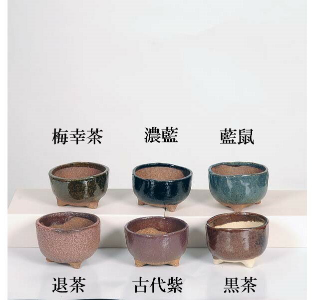 現代小鉢：祥石(二代目)ゆうき*小　丸鉢　2.5号