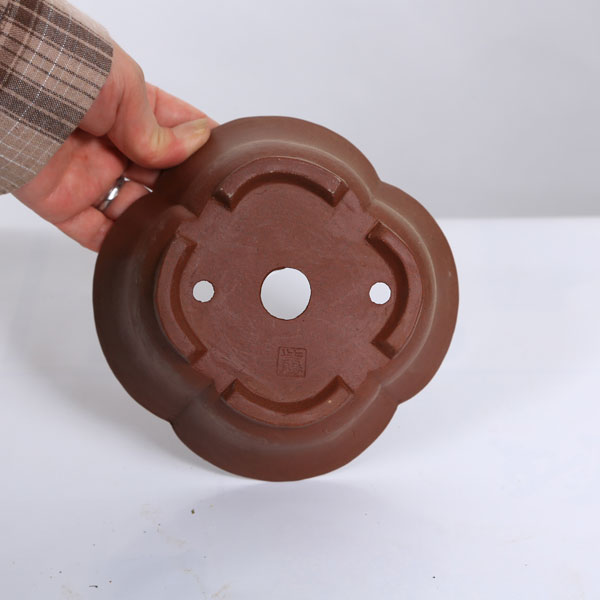 現代小鉢：柴勝　輪花鉢　15.7cm【現品】
