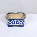 現代小鉢:喜美子 長方鉢(使用感あり)15.0cm【現品】