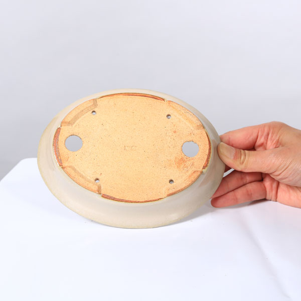 鉢：服部　縁付楕円鉢　16.8cm【現品】*　資材
