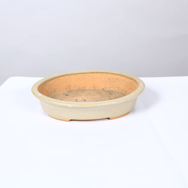 Rakuten - 鉢：服部　縁付楕円鉢　16.5cm【現品】*　資材