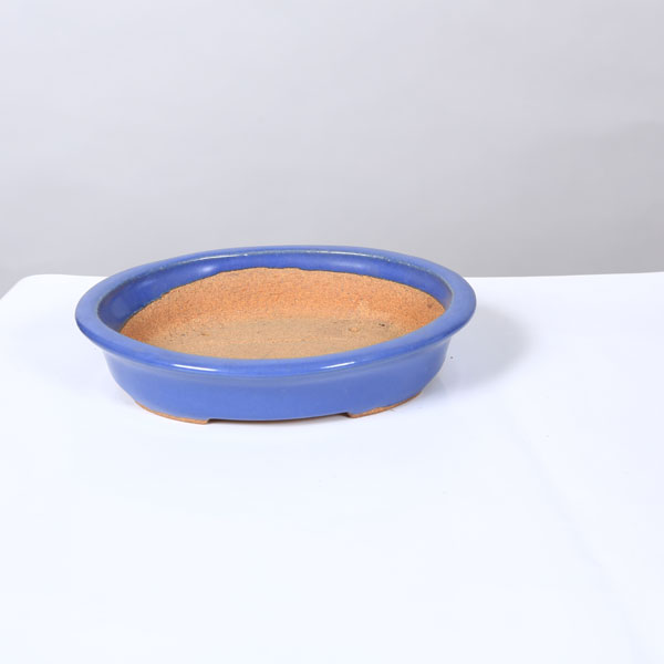 Rakuten - 鉢：服部　縁付楕円鉢　16.5cm【現品】*　資材