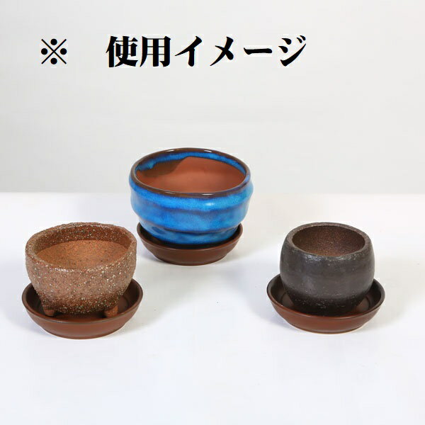 ���ס���������ƫ�������������ݡ�2.5��