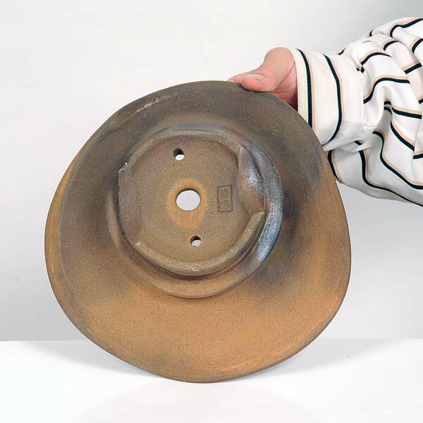 ��ȭ����ʪ�ѷ�ȭ��21.5cm�ڸ��ʡ�