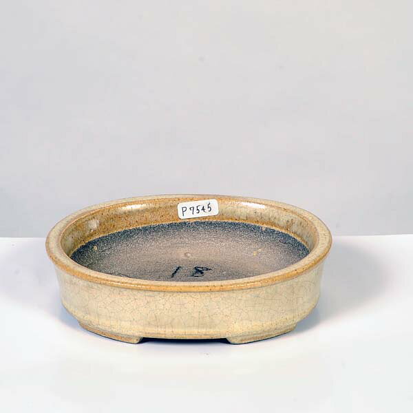 Rakuten - 盆栽小鉢：真山（まざん）楕円鉢　13.7cm 【現品】