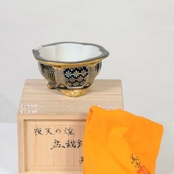 ���微ȭ�����ᡡ��ȭ������ŷ�����11.0cm�ڸ��ʡ�