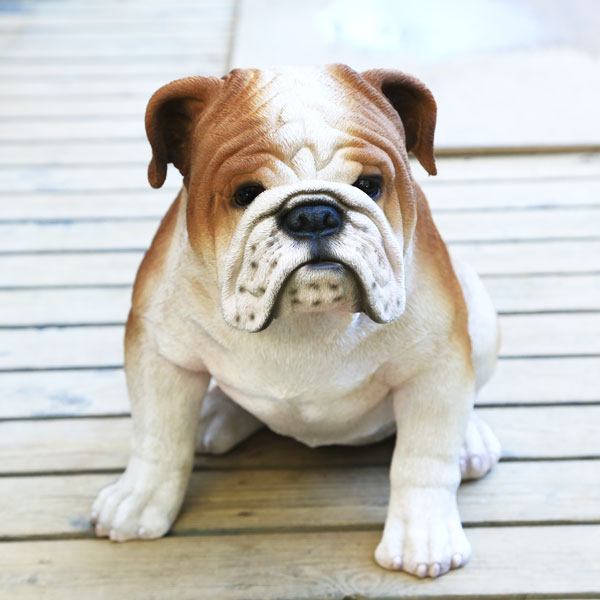 商品説明 材質：POLY RESIN 存在感抜群！！リアルフィギュア・ブルドックです♪ サイズ 幅：約46.5cm×奥行：約29cm×高さ：約36.5cm 納期配達ご希望日時のご指定ができます。 お急ぎの場合は午前中までにご注文の場合、即日...