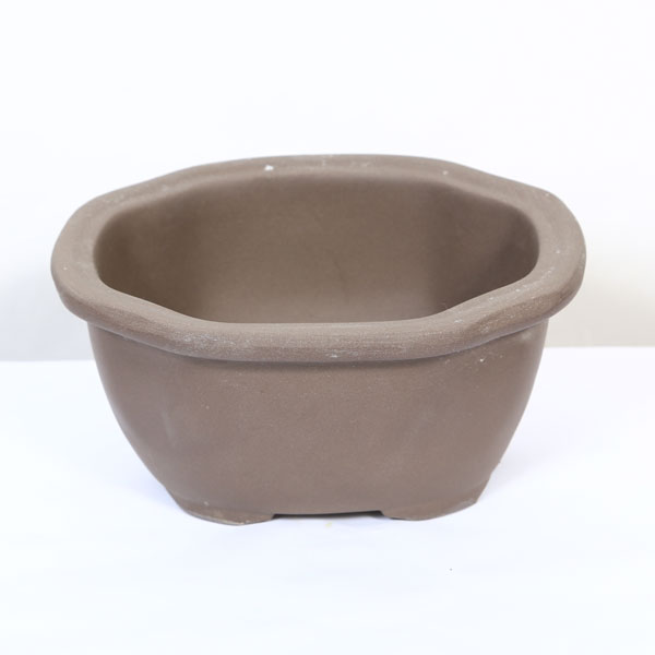 Rakuten - 鉢：国産土物モッコ鉢　5号　17cm*資材