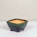 現代小鉢:平安虹泉 正方鉢 11.0cm【現】*資材