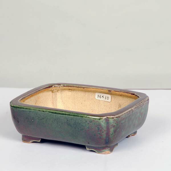 現代小鉢：平安虹泉　長方隅切鉢　13.1cm【現】*資材