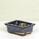現代小鉢:平安虹泉 縁付長方鉢 12.3cm【現】*資材