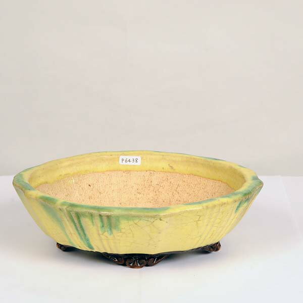 現代小鉢：平安虹泉　モッコ鉢　21.5cm【現】*資材