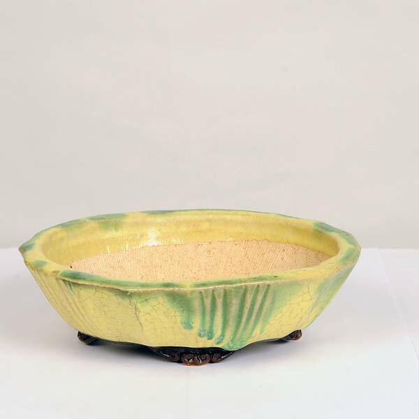 現代小鉢：平安虹泉 モッコ鉢 21.5cm【現】*資材