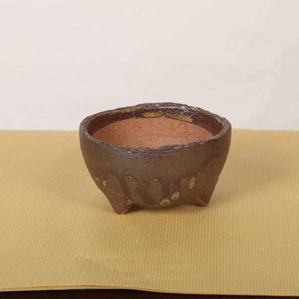 鉢：信楽焼丸鉢　浅鉢　10cm　かみ山陶器*資材