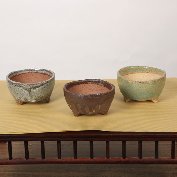 Rakuten - 鉢：信楽焼丸鉢　浅鉢　10cm　かみ山陶器*資材