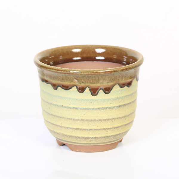 鉢：萬古焼茶流し深鉢 5号*エビネ鉢 資材