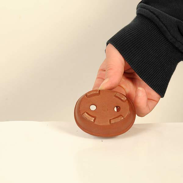 ���微ȭ���ƾ����ʱ�ȭ�ڸ��ʡ�*shibakatu��6.6cm