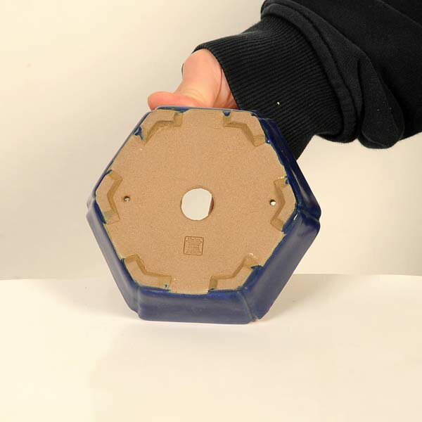 現代小鉢：柴勝　六角鉢【現品】*shibakatu　12.2cm