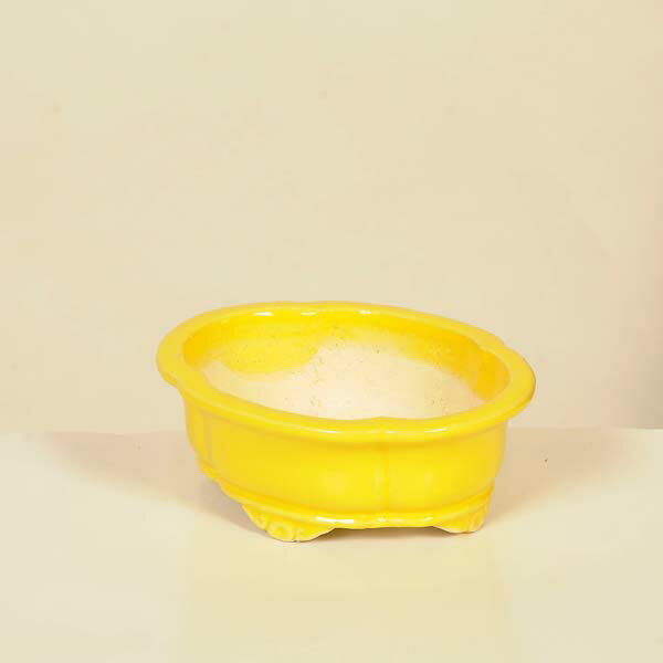 Glass Bowls - 現代小鉢：柴勝　楕円モッコ鉢【現品】*shibakatu　13.2cm