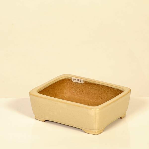 現代小鉢：柴勝　長方鉢【現品】*shibakatu　12.6cm