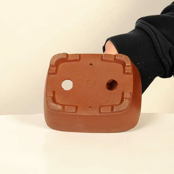 現代小鉢：柴勝　長方鉢【現品】*shibakatu　12.7cm