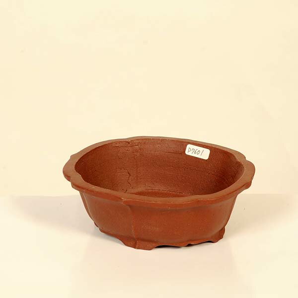 現代小鉢：柴勝 楕円モッコ鉢【現品】*shibakatu 14.5cm