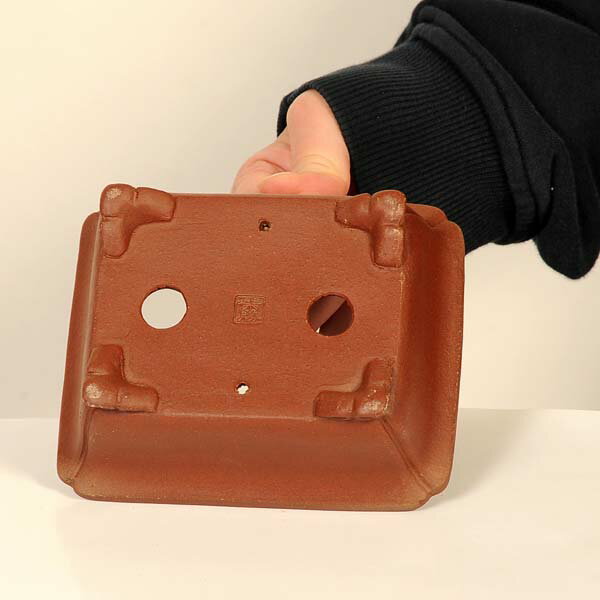 現代小鉢：柴勝　長方鉢【現品】*shibakatu　13.0cm