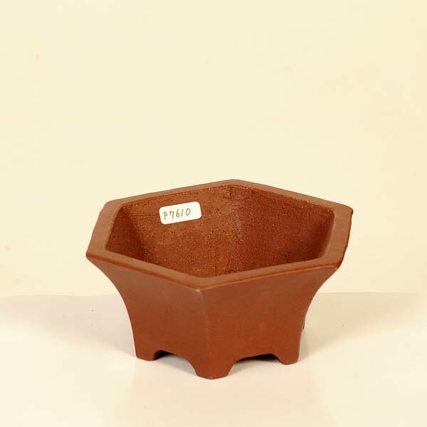 Rakuten - 現代小鉢：柴勝　六角鉢【現品】*shibakatu　13.0cm