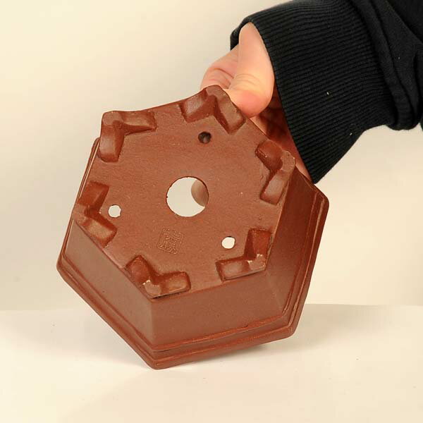 現代小鉢：柴勝　六角鉢【現品】*shibakatu　13.0cm