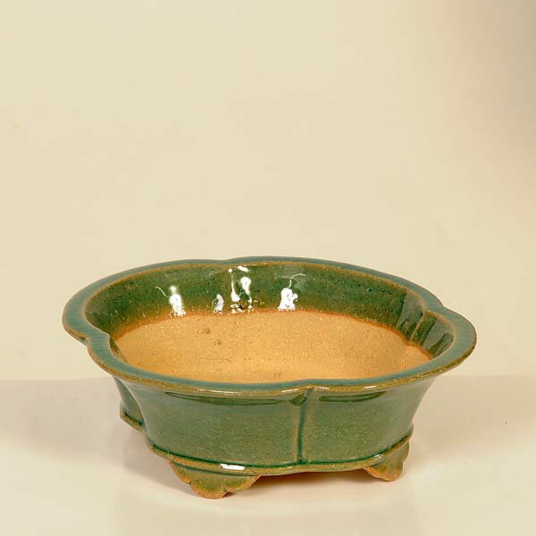 現代小鉢：柴勝　楕円ソリ鉢【現品】*shibakatu　17.6cm