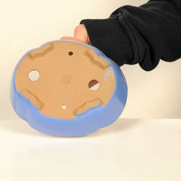 現代小鉢：柴勝　楕円モッコ鉢【現品】*shibakatu　16.1cm