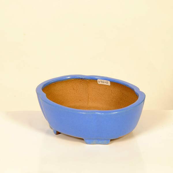 Rakuten - 現代小鉢：柴勝　楕円モッコ鉢【現品】*shibakatu　15.9cm