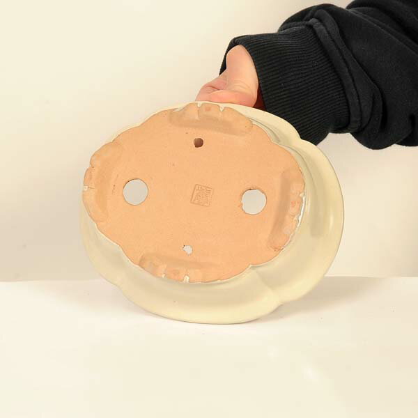 現代小鉢：柴勝　楕円モッコ鉢【現品】*shibakatu　16.3cm