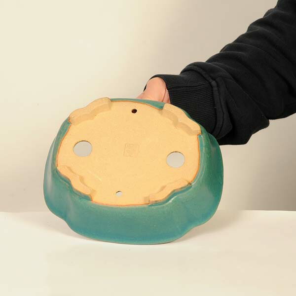 現代小鉢：柴勝　モッコ鉢【現品】*shibakatu　18.6cm