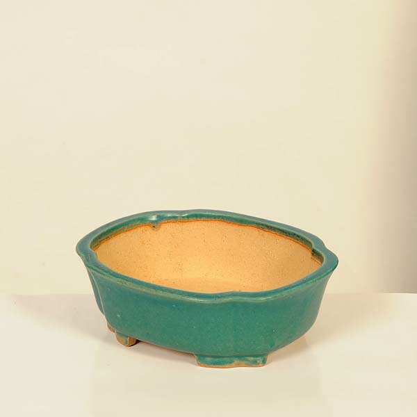 現代小鉢：柴勝 モッコ鉢【現品】*shibakatu 18.6cm