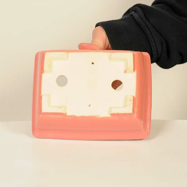 ���微ȭ���ƾ���Ĺ��ȭ�ڸ��ʡ�*shibakatu��16.1cm