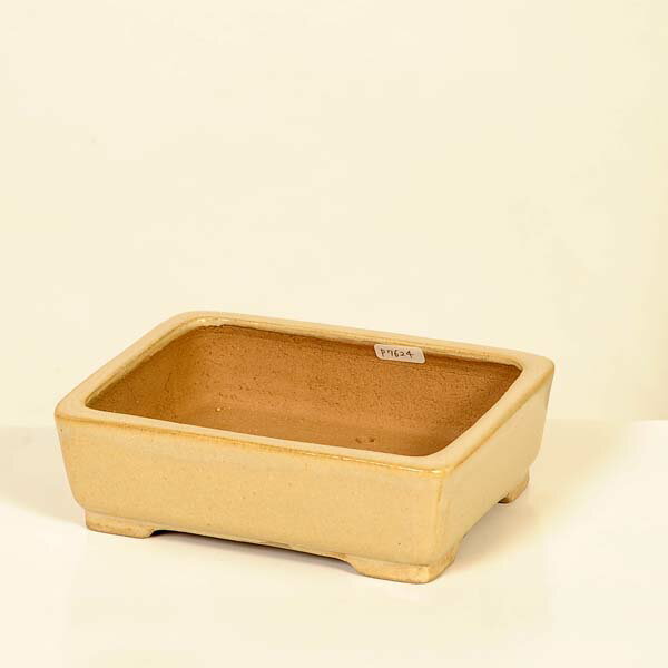 現代小鉢：柴勝　長方鉢【現品】*shibakatu　15.8cm