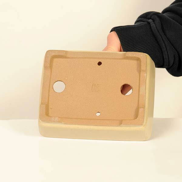 現代小鉢：柴勝　長方鉢【現品】*shibakatu　15.8cm