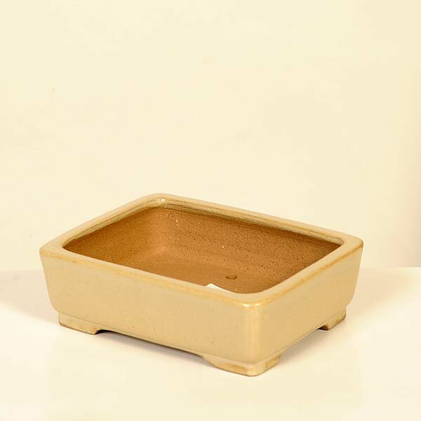 現代小鉢：柴勝　長方鉢【現品】*shibakatu　15.8cm