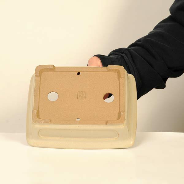 現代小鉢：柴勝　長方鉢【現品】*shibakatu　19.6cm