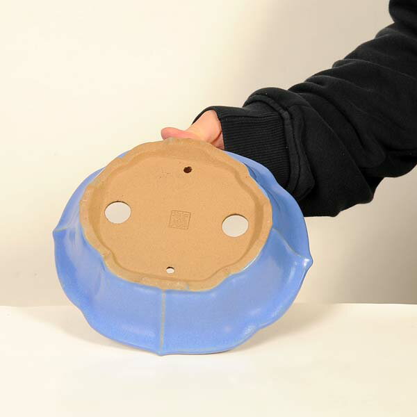 現代小鉢：柴勝　楕円モッコ鉢【現品】*shibakatu　19.5cm