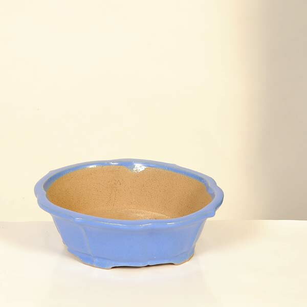 現代小鉢：柴勝　楕円モッコ鉢【現品】*shibakatu　19.5cm