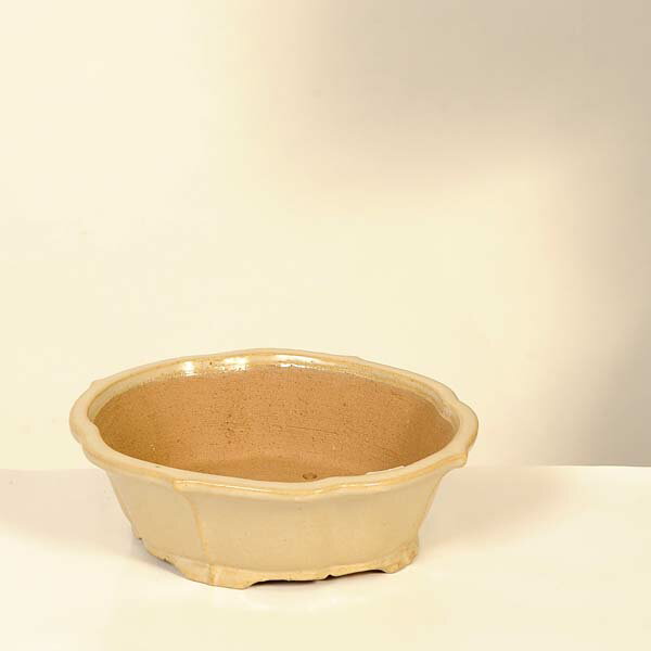 商品説明 柴勝　楕円鉢 本名：柴田　勝一 愛知県常滑市出身。 常滑作家のひとりで、タタラと押型による手づくり鉢を作られています。 泥物から釉薬まで幅広い作陶で、樹の育成にも優れた鉢です。 ※照明やグラフィックにより実際の色味と異なる場合がご...