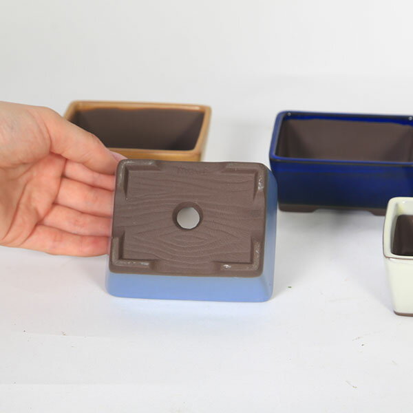 ȭ����Ĺ��ȭ��10cm��1952v��*���