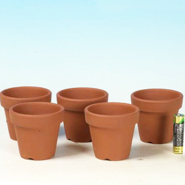 楽天市場】植木鉢 2号(種類(植木鉢)盆栽鉢)の通販 楽天市場】植木鉢 2号(種類(植木鉢)盆栽鉢)の通販
