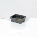 現代小鉢:流苑(りゅうえん)長方鉢 8.3cm【現品】*Ryuuen